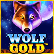 Sói vàng game cover